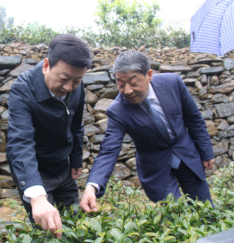 安康富硒茶引爆中國西部最牛茶專業展會(圖6)